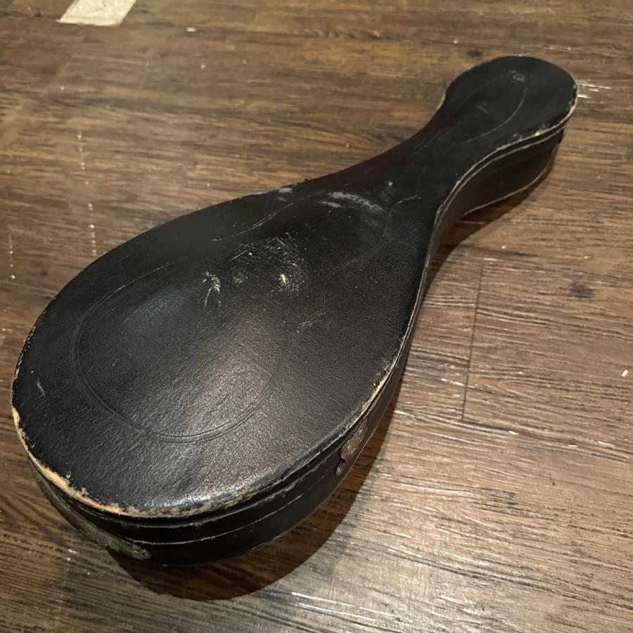 鈴木楽器製作所 Suzuki M-210 Mandolin スズキ マンドリン -a080