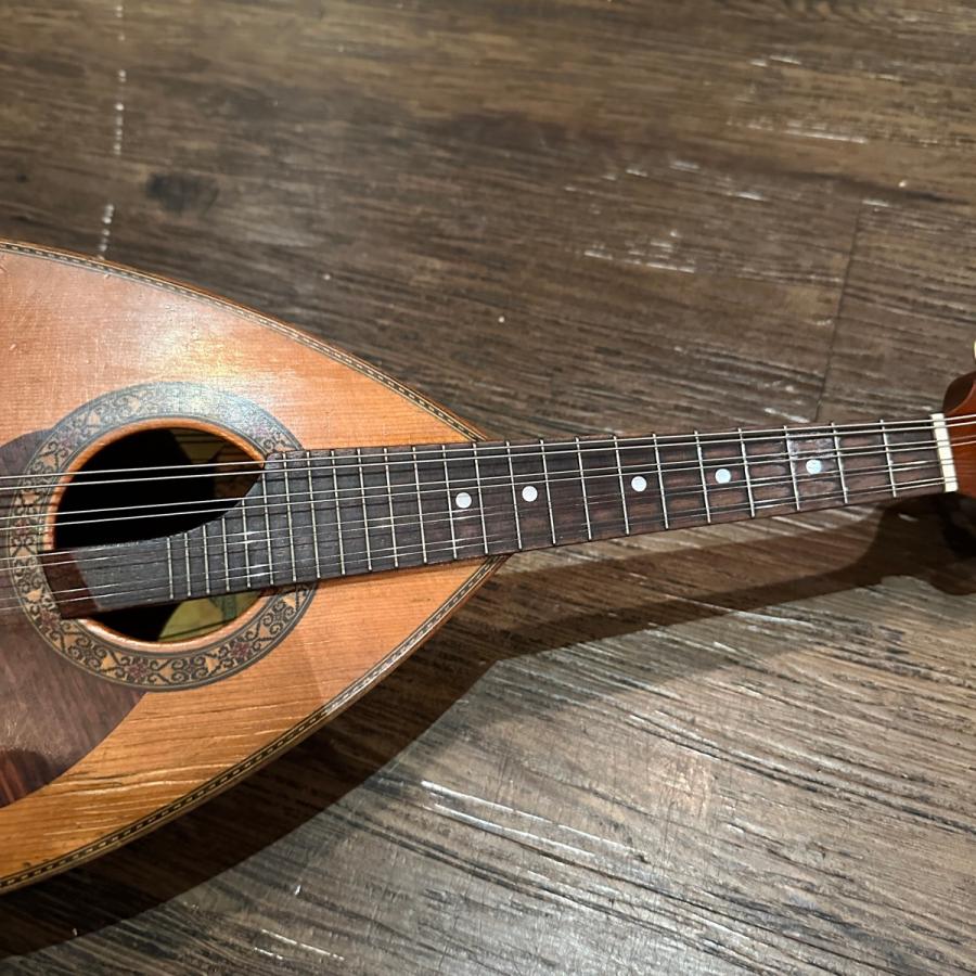鈴木楽器製作所 Suzuki M-210 Mandolin スズキ マンドリン -a080