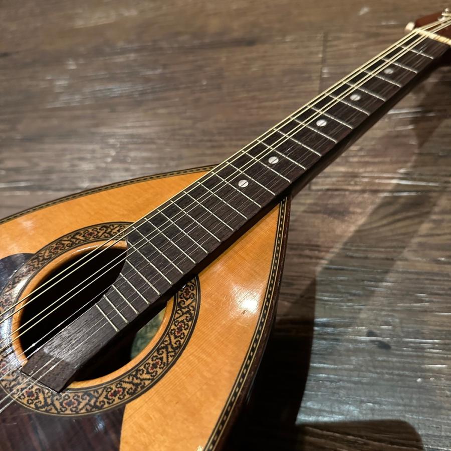 suzuki マンドリン M-215 　美品 Suzuki Mandolin M-215 1974年製 ケース付き - メルカリ