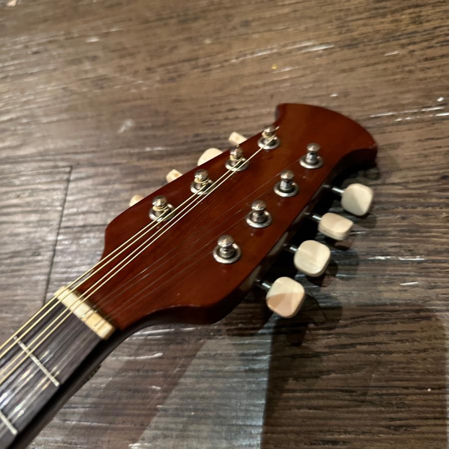 鈴木楽器製作所 Suzuki M-215 Mandolin スズキ マンドリン -a083