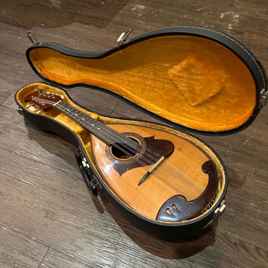 suzuki マンドリン M-215 　美品 Suzuki Mandolin M-215 1974年製 ケース付き - メルカリ