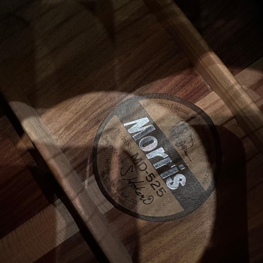 Morris Morris MD-525 Acoustic Guitar アコースティックギター