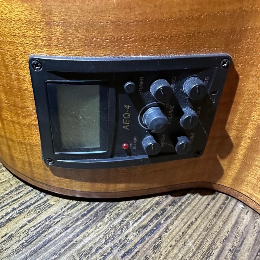 ARIA（アリア） Aria Elecord FEB-FLAN Acoustic Electric Bass エレキ