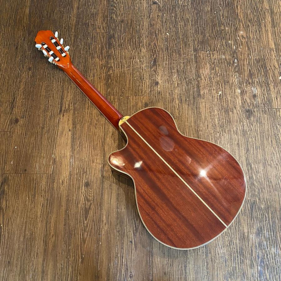 Ibanez AEG10NE-NT Classical Guitar アイバニーズ エレガット