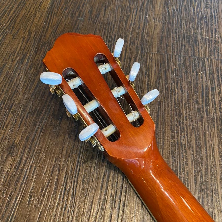 Ibanez AEG10NE-NT Classical Guitar アイバニーズ エレガット