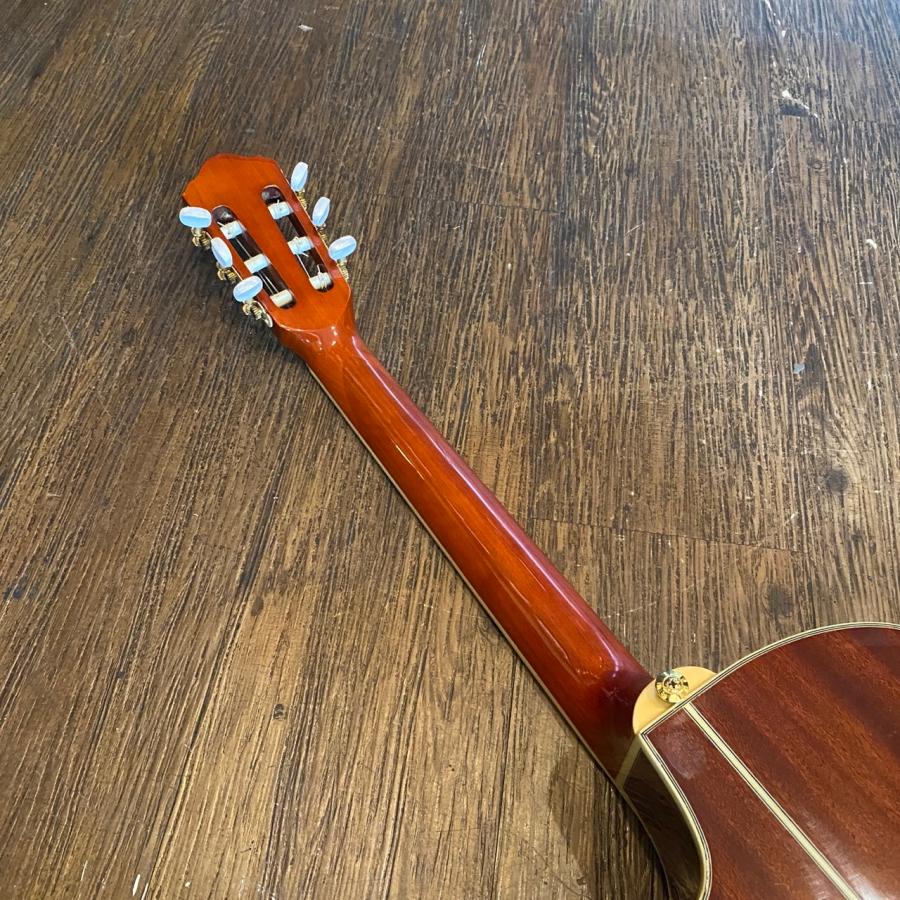 Ibanez AEG10NE-NT Classical Guitar アイバニーズ エレガット