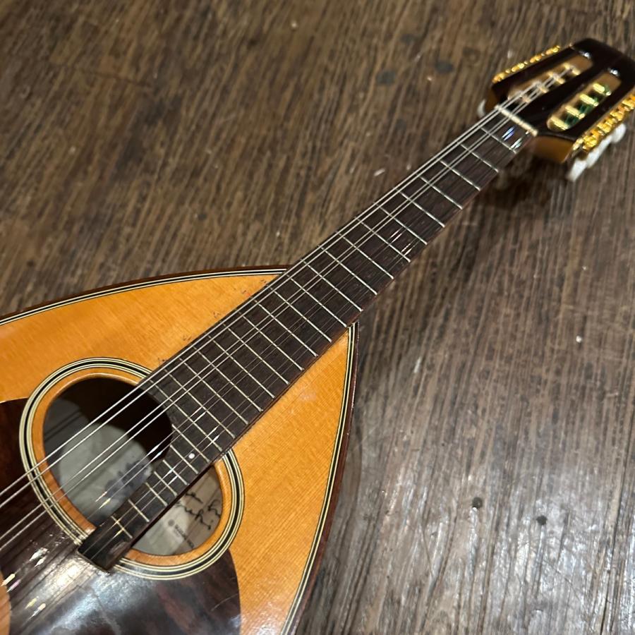 鈴木楽器製作所 Suzuki M-80 Mandolin スズキ マンドリン -d089 鈴木楽器製作所 Suzuki M-80 Mandolin スズキ マンドリン -d089