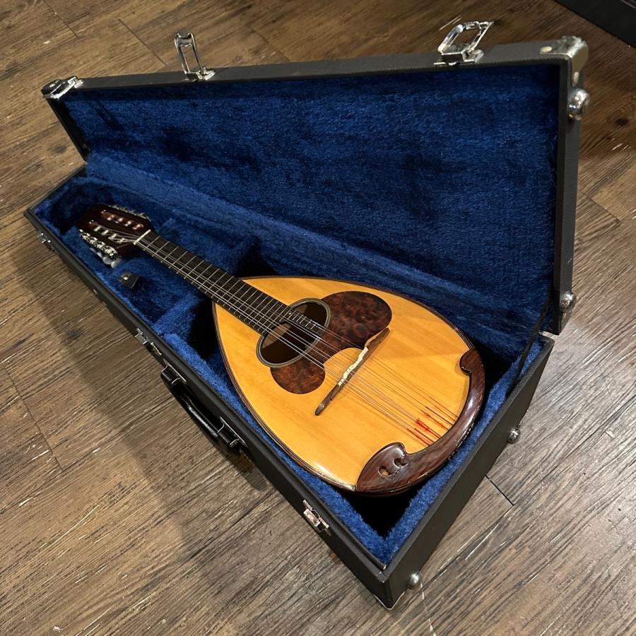M-30 Classic Mandolin スズキ マンドリン -d247 【コンデンサーマイク】