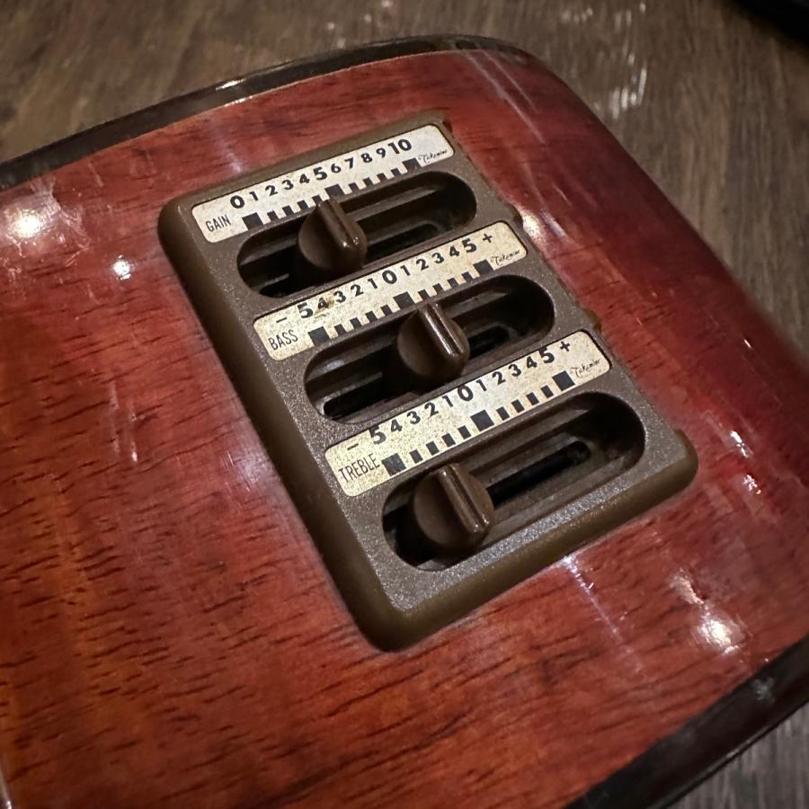 Takamine PT-206 Electric Acoustic Guitar アコースティック