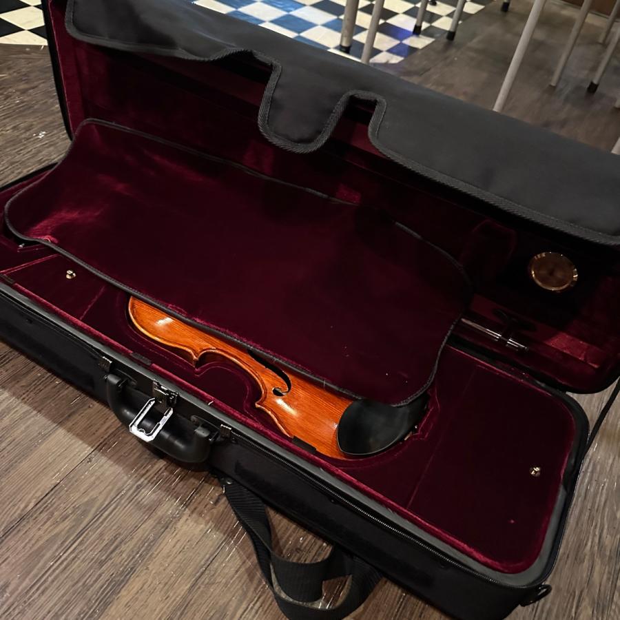 Carlo giordano VS-3 4/4 Violin カルロジョルダーノ バイオリン -d655