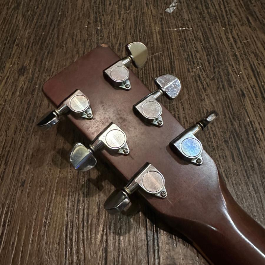 東海 Tokai Cat's Eyes CE-300 Acoustic Guitar アコースティック