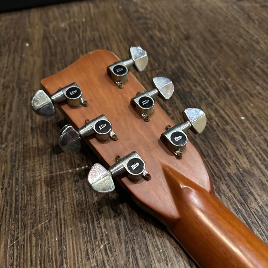 Takamine Takamine Elite TW-30G 1970年代 Acoustic Guitar