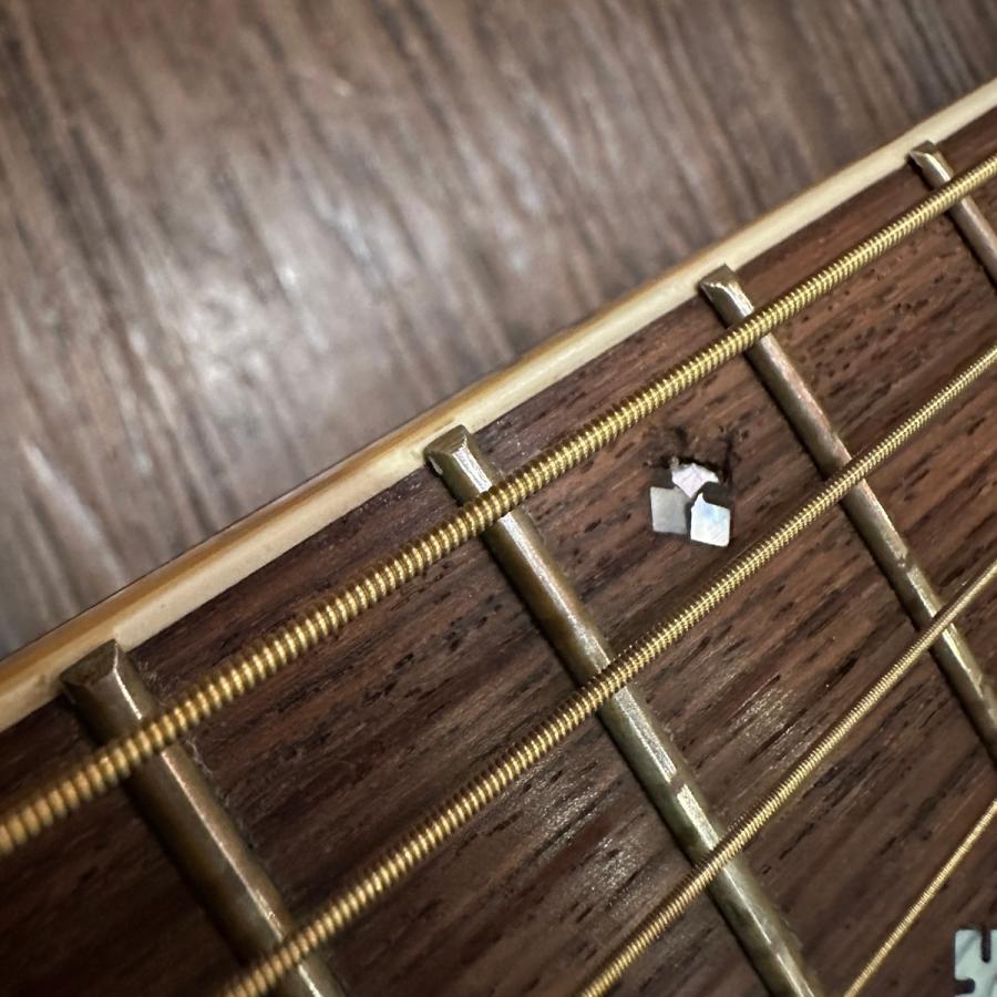 Takamine Takamine Elite TW-30G 1970年代 Acoustic Guitar
