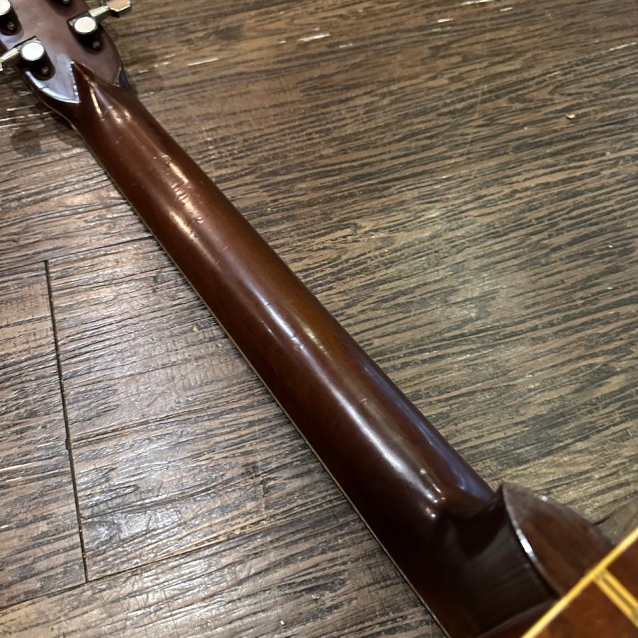 Gekko W-300 京都老舗「月光堂」Japan Vintage Acoustic Guitar