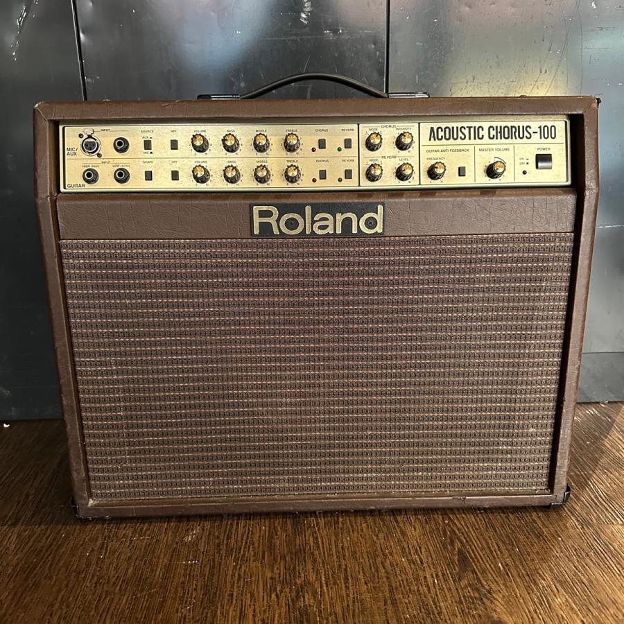 ローランド（Roland） Roland AC-100 Acoustic Chorus Guitar