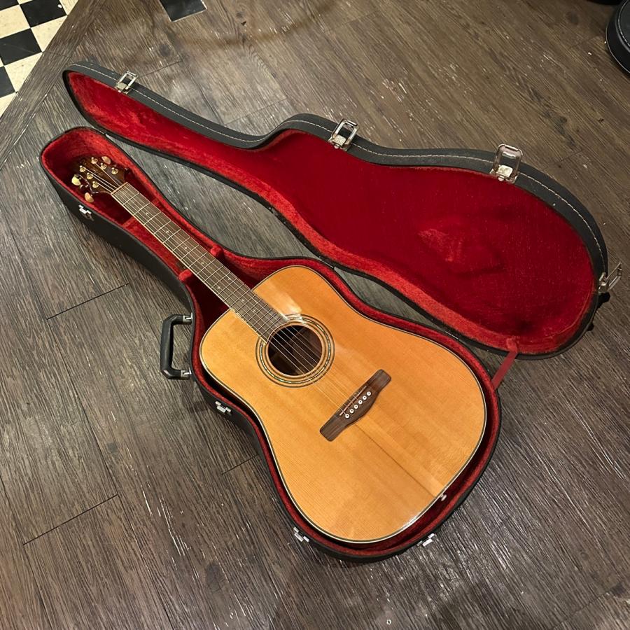 Greg Bennett ASDM 総単板 アコースティックギター Greg Bennett ASDM ハードケース付き Acoustic Guitar