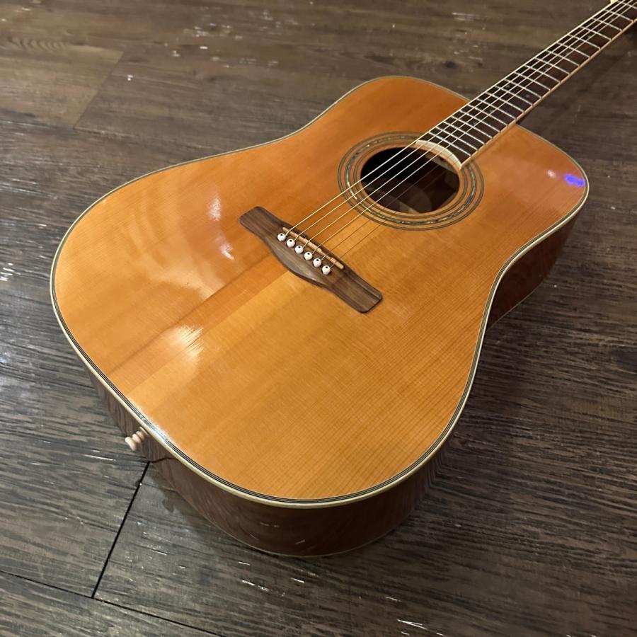 Greg Bennett ASDM ハードケース付き Acoustic Guitar