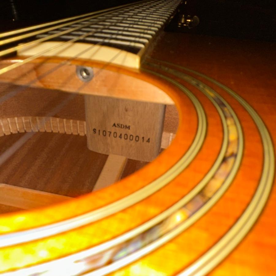 Greg Bennett ASDM ハードケース付き Acoustic Guitar