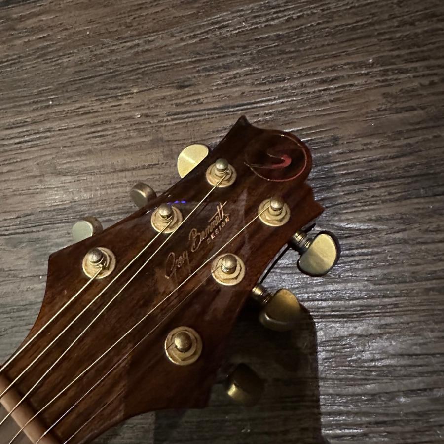 Greg Bennett ASDM ハードケース付き Acoustic Guitar