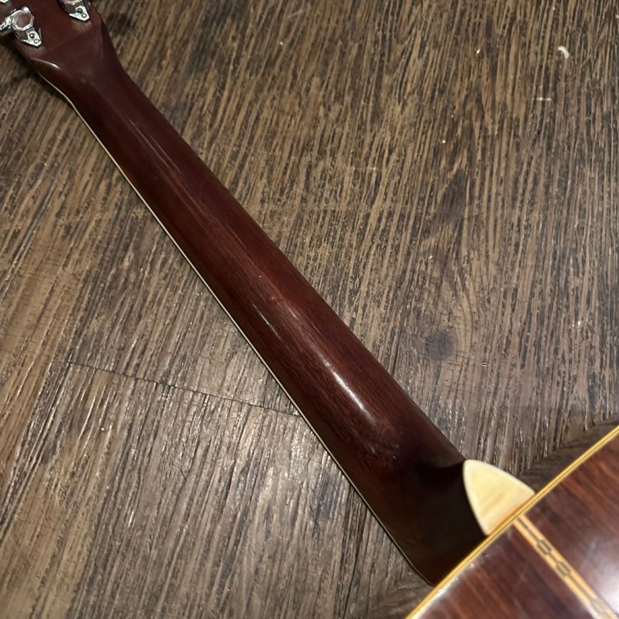 東海 Cat's Eyes CE-250 Acoustic Guitar アコースティックギター