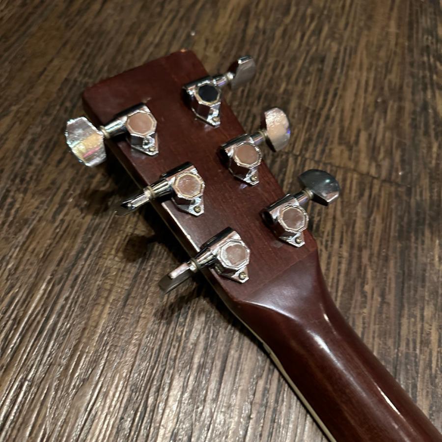 東海 Cat's Eyes CE-250 Acoustic Guitar アコースティックギター