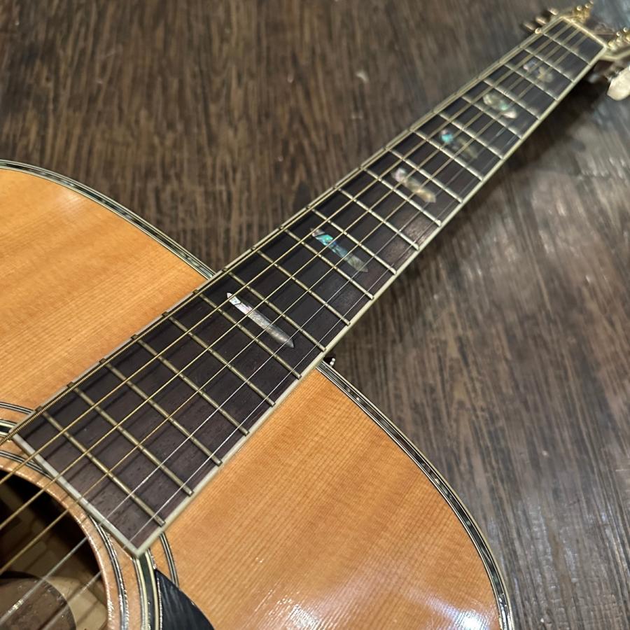 Morris TF-801 Acoustic Guitarアコースティックギター モーリス Morris TF-801 Acoustic Guitarアコースティックギター モーリス