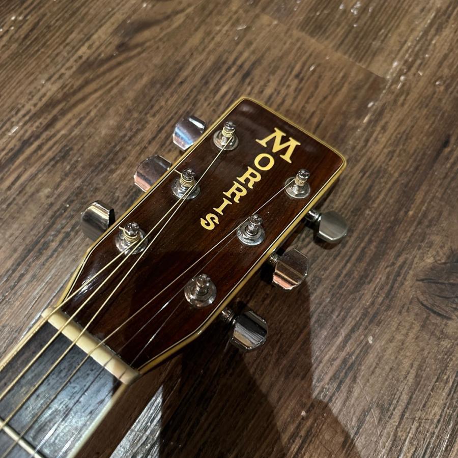 Morris W-40 Acoustic Guitar Made in Japan アコースティック Morris W-40 Acoustic Guitar Made in Japan アコースティック