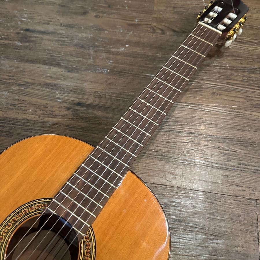 ARIAアコスティックギター アリアギター