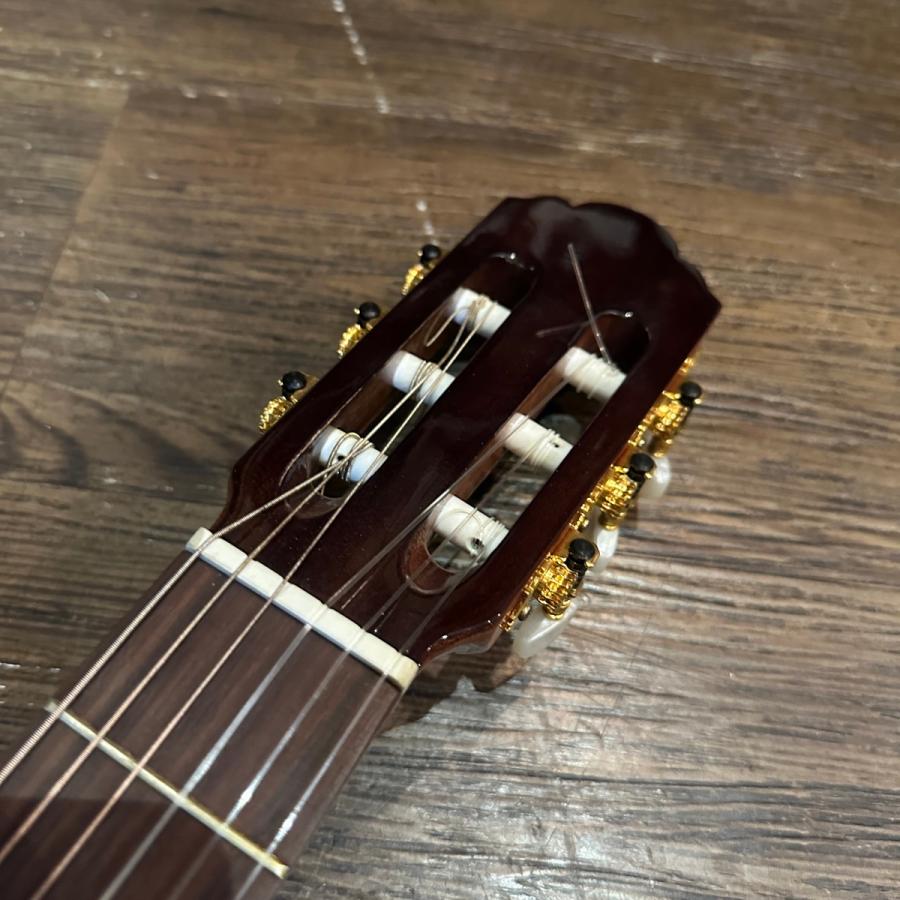 ARIAアコスティックギター アリアギター