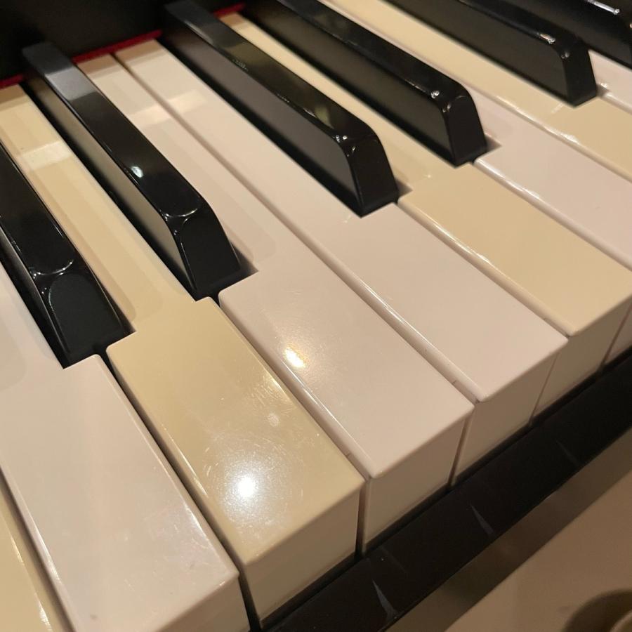KORG Korg SP-170 Keyboard コルグ 電子ピアノ キーボード 88鍵 KORG Korg SP-170 Keyboard コルグ 電子ピアノ キーボード 88鍵