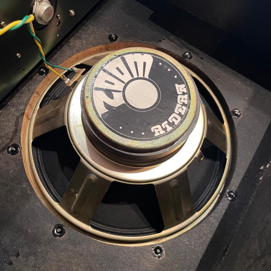 FERNANDES Zoom Aidean Mesia M-55 Guitar Amplifier Fernandes