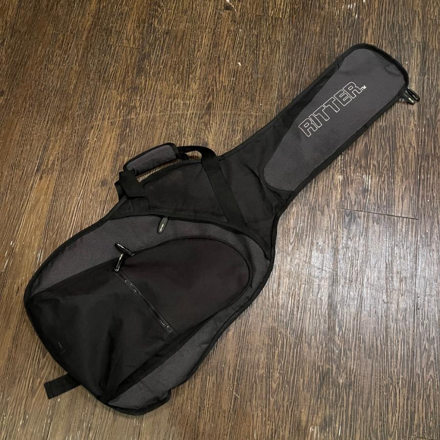 Aria Pro II エレキギター と RITTER ギターケース