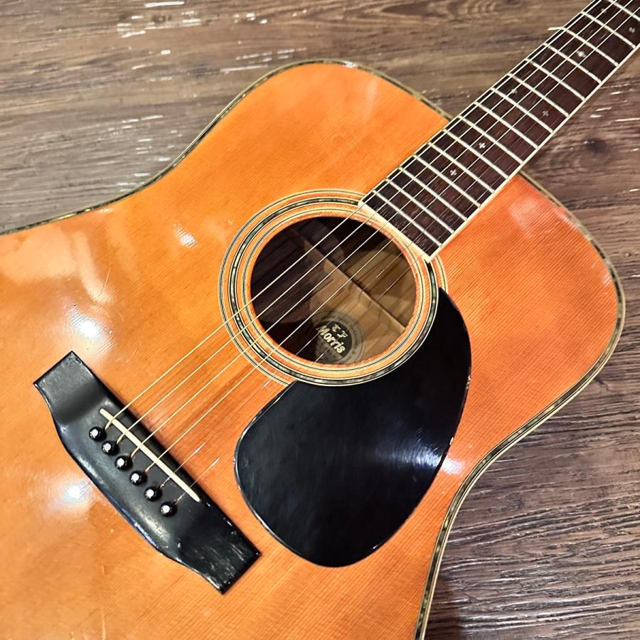 Morris Morris W-50 TF Acoustic Guitar Made in Japan ハードケース