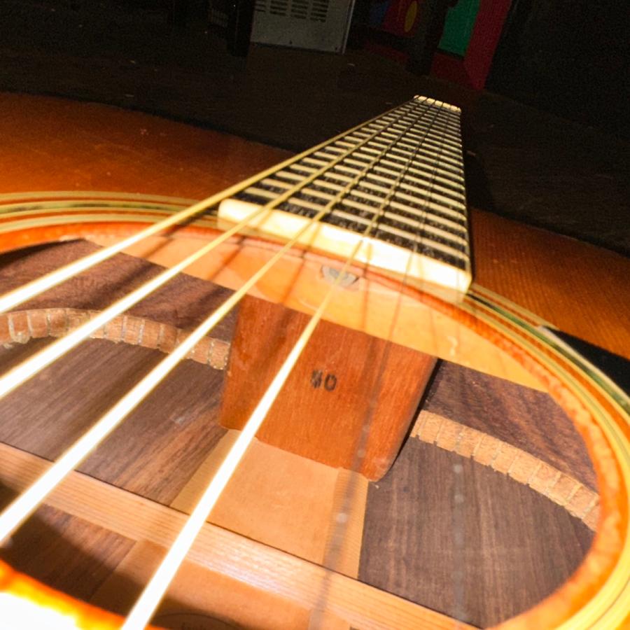 Morris Morris W-50 TF Acoustic Guitar Made in Japan ハードケース