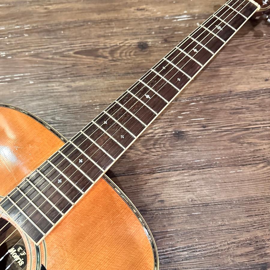 TF Morris W-50 モーリス アコースティックギター ハードケース付 Morris Morris W-50 TF Acoustic Guitar Made in Japan