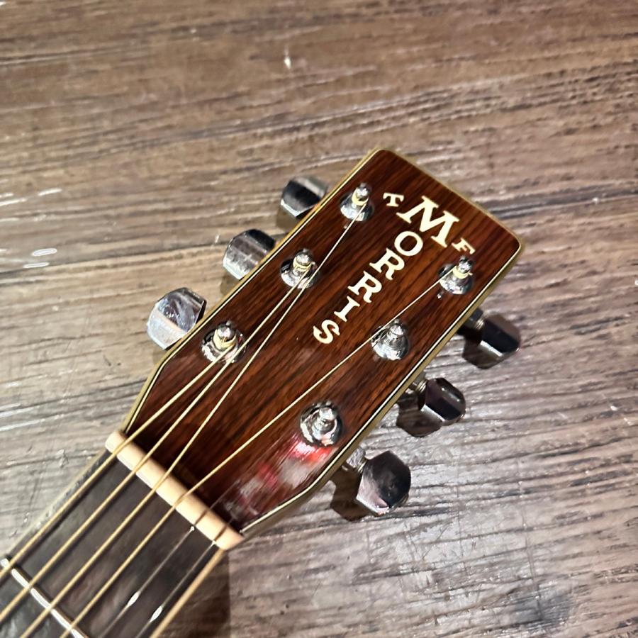 【決まりました】アコースティックギター Morris W-50 TF﻿ Morris Morris W-50 TF Acoustic Guitar Made in Japan