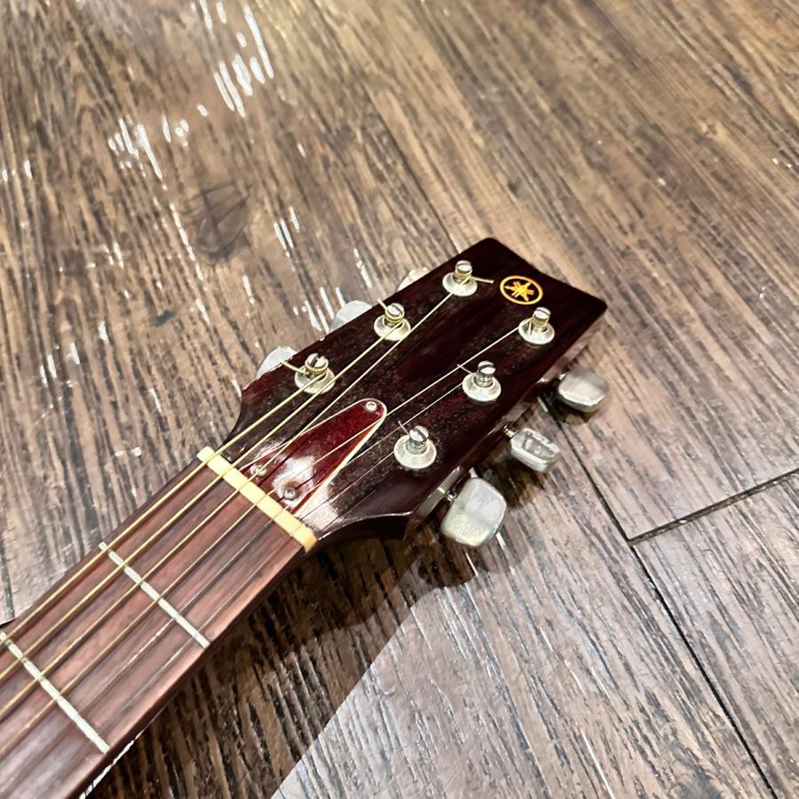 YAMAHA（ヤマハ） Yamaha FG-130 Green Label Acoustic Guitar