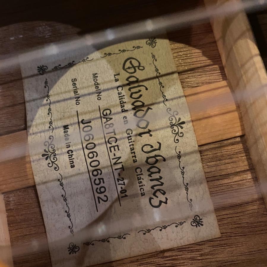 Ibanez（アイバニーズ） Ibanez GA8TCE-NT エレガットギター -GRUN