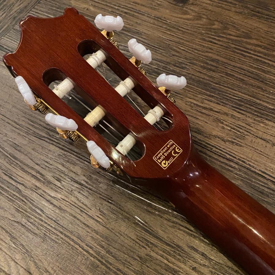 Ibanez GA8TCE エレガット (サイ) Ibanez GA8TCE エレガット (サイ) Ibanez / アイバニーズ