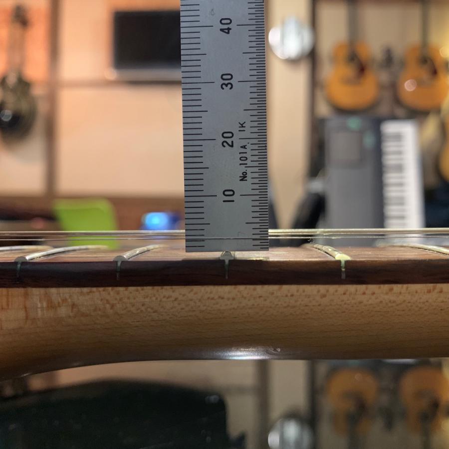 FERNANDES（フェルナンデス） Fernandes FGZ-1C エレキギター -GRUN