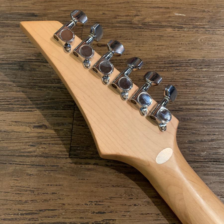 FERNANDES（フェルナンデス） Fernandes FGZ-1C Diabolical Modified