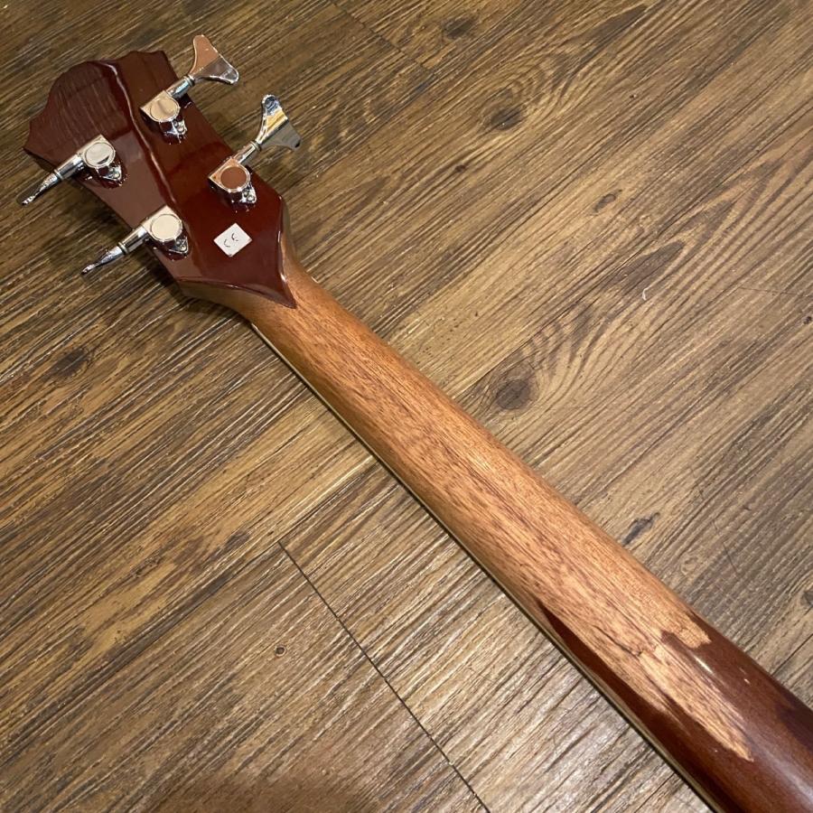 Ibanez（アイバニーズ） Ibanez AEB10NT 1202 Acoustic Bass Guitar