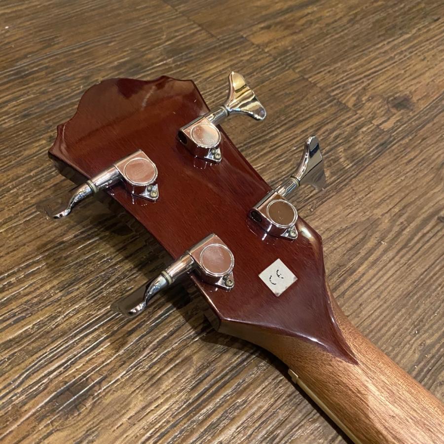 Ibanez（アイバニーズ） Ibanez AEB10NT 1202 Acoustic Bass Guitar