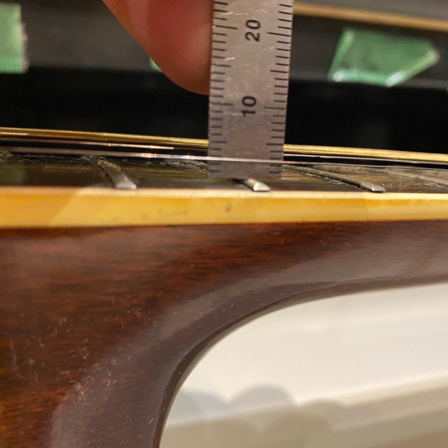 Morris W-20 Acoustic Guitar Made in Japan アコースティックギター