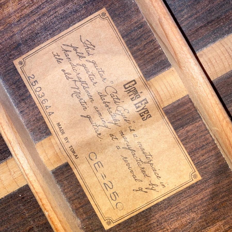 Cat's Eyes CE-250 Acoustic Guitar アコースティックギター