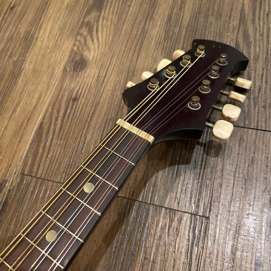 スズキ SUZUKI Model No.226 1968年 Mandolin マンドリン スズキ SUZUKI Model No.226 1968年 Mandolin マンドリン