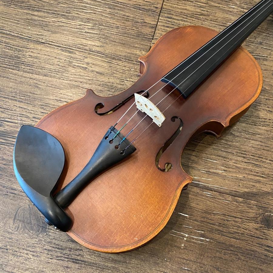 Hallstatt V-12 String Instrument ハルシュタット バイオリン