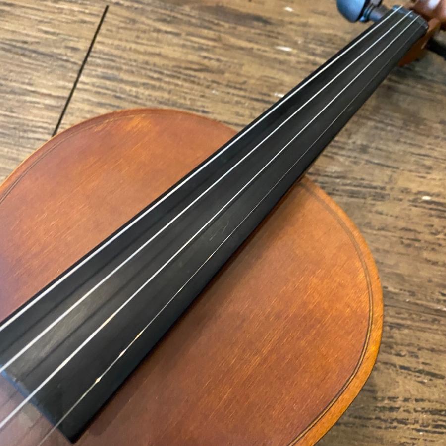 Hallstatt V-12 String Instrument ハルシュタット バイオリン