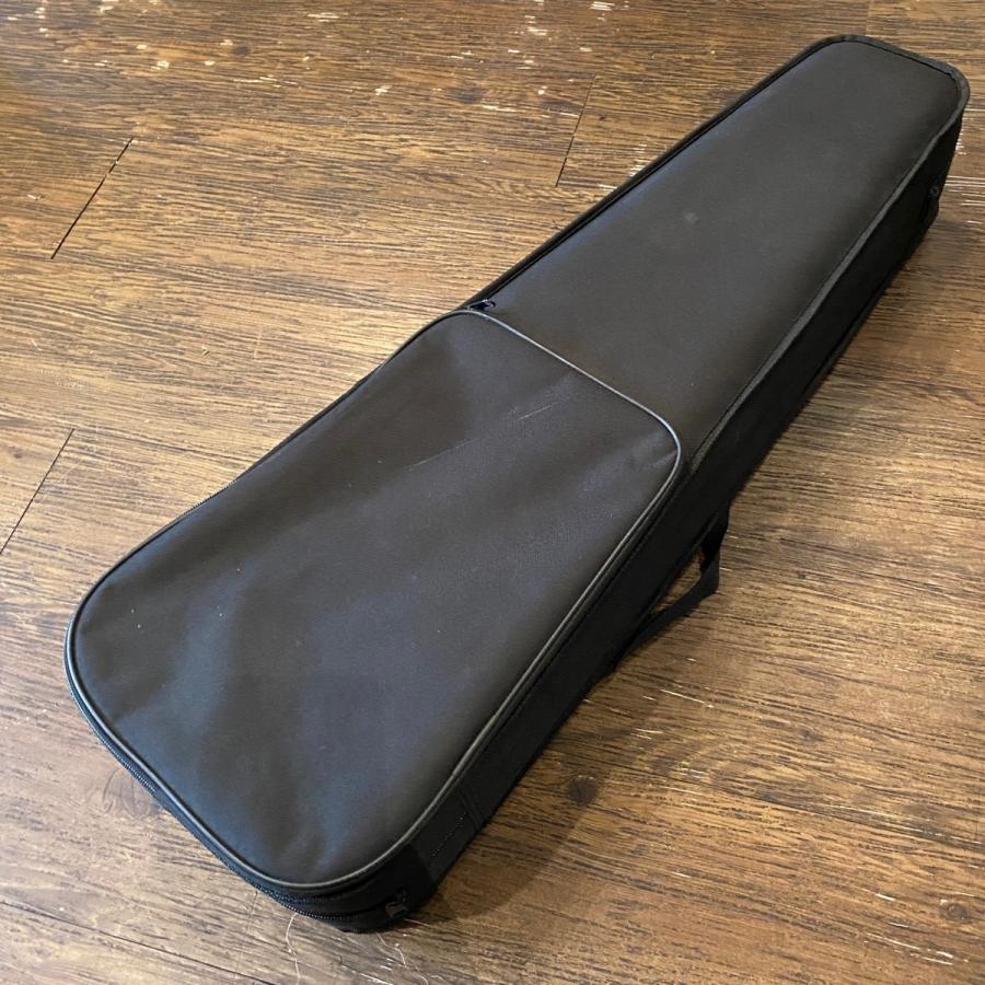 Hallstatt V-12 String Instrument ハルシュタット バイオリン