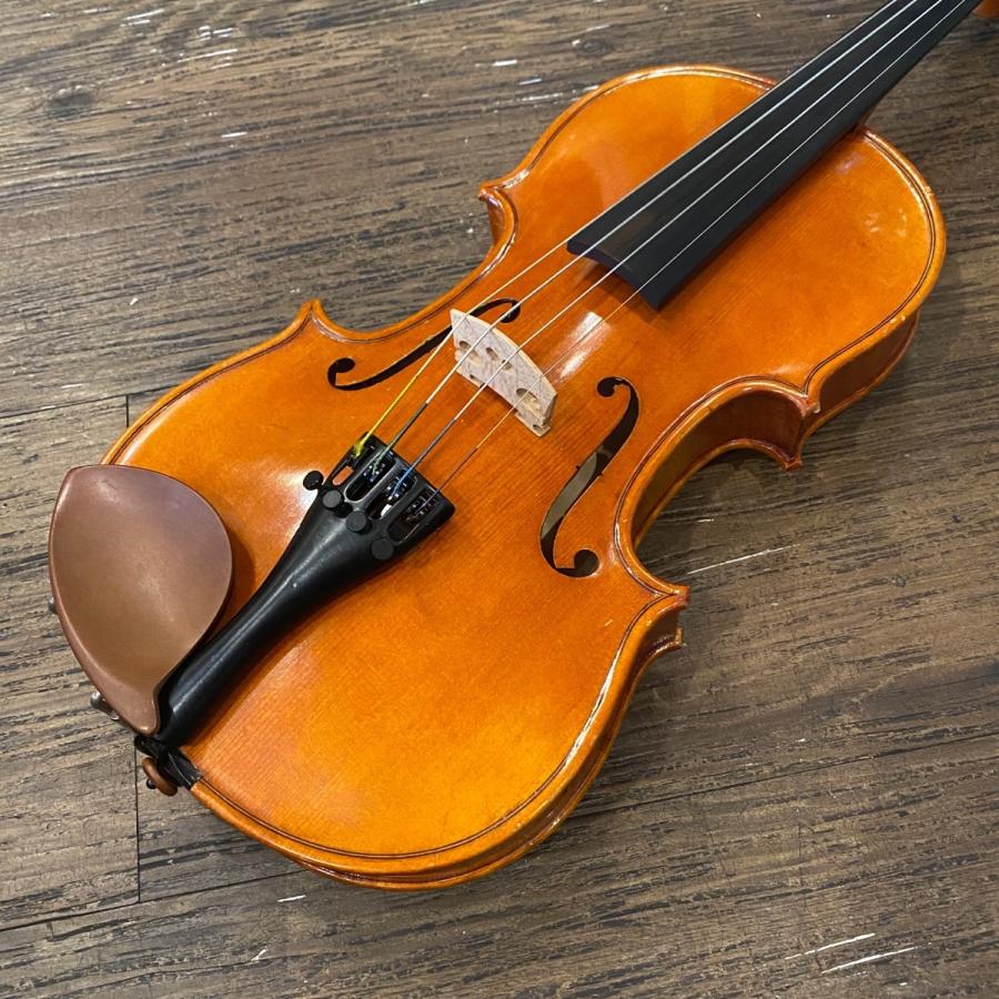 Carlo giordano VS-2 3/4 String Instrument カルロジョルダーノ Carlo giordano VS-2 3/4 String Instrument カルロジョルダーノ
